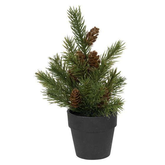 Minigran i potte 19cm Grønn