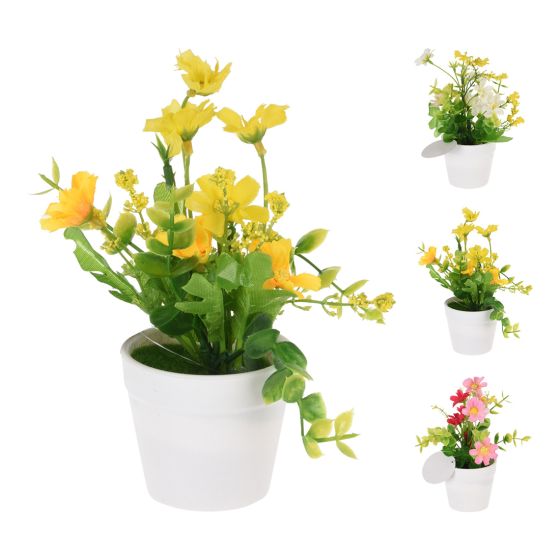 Blomst i hvit potte