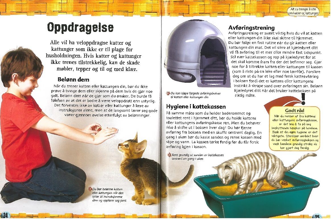 Gøy med fakta - Katter og kattunger - Sparkjøp