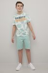 Teen Studio T-skjorte med Gravity print Isak blågrå