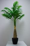 Isla palme med ledlys grønn