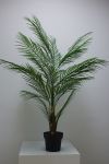 Lily palme med ledlys grønn