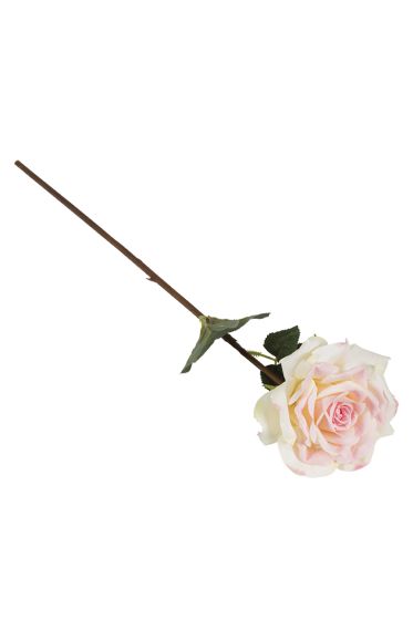 Rose 55cm rosa