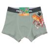 Boxer 2pk Grønn