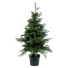 Juletre 60cm med led og timer Grønn
