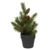 Minigran i potte 19cm Grønn