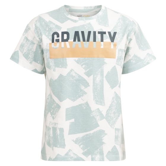 T-skjorte med Gravity print Isak blågrå