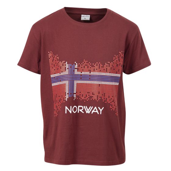 Explorer Norway CHRISTIAN t - shirt med stort norsk flaggprint burgunder