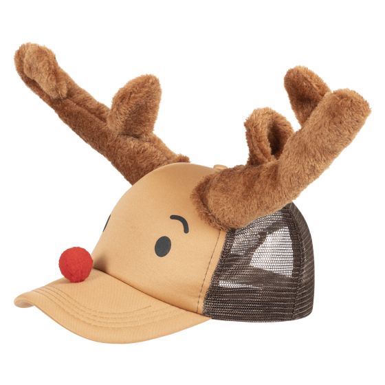 Funny Christmas hat
